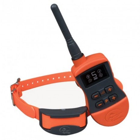 sport-dog-sporttrainer-800m-sd-875e